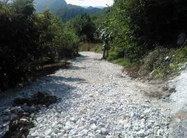 Deuncian apertura de pista forestal en zona prohibida en la Reserva de Cueva Rosa