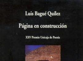 Luis Bagué Quílez logra el Premio Emilio Alarcos con su poemario 'Paseo de la identidad'