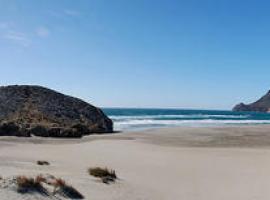 El nivel del mar podría aumentar hasta 82 cm en 2100 