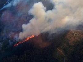 La Guardia Civil detiene a un cangués e imputa a otro por la presunta autoría de incendios forestales