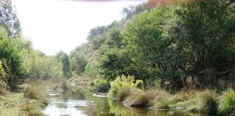 La cuenca hidrológica del Cantábrico lleva seis meses sin apenas lluvias