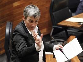 Una "peripecia administrativa" retrasó las obras del Carmen Ruiz-Tilve,. según Consejería