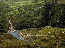 La fiebre del oro deforesta la Amazonía peruana 