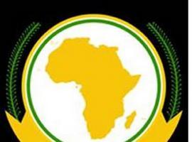 'Africa hablará en Polonia sobre el cambio climático