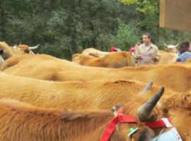 Apoyo de las organizaciones agrarias a los ganaderos afectados por la deuda de ASCAR