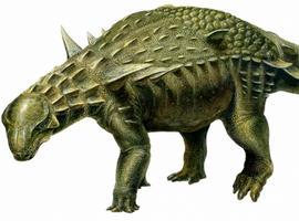  El dinosaurio acorazado más completo de Europa es 'vecino' de Ariño
