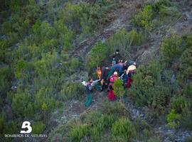 Herido un trabajador forestal a causa de una caída en Tamagordas, Illano