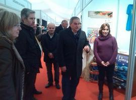 Mieres: Intensa actividad en la Feria Navidad de Artesanía y Comercio