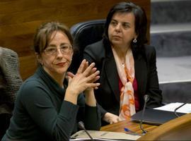 La 'espantada' de Avilés provoca "estupor y malestar" en el Consejo de la Zalia