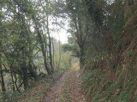 Adjudicados los trabajos para los 'cortafuegos' en los montes de Allande