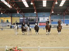 Denuncian que el 'lamentable estado' del Asturcón puede causar daños a los caballos