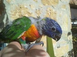 El zoo de Oviedo reabre sus puertas este fin de semana
