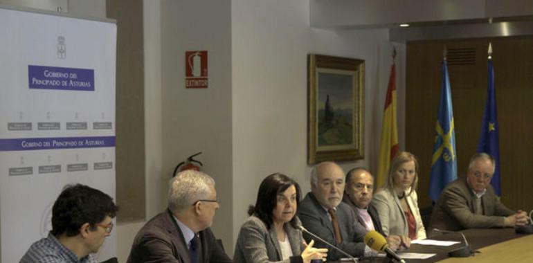 Asturias vuelve la mirada hacia la inversión en futuros maderables