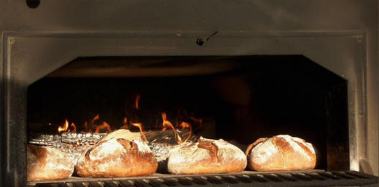 Primer pan de trigo apto para la mayoría de los celiacos