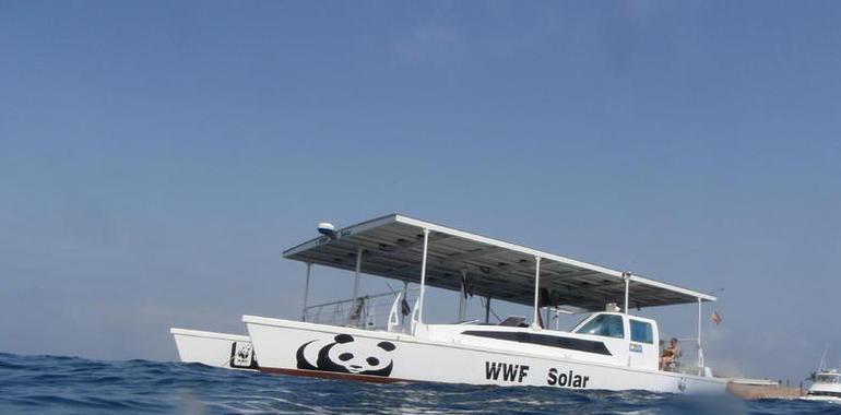 El catamarán de WWF llega a Valencia impulsado por el sol y sin emitir CO2