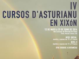 Matricúlate nos IV Cursos  d'asturianu en Xixón hasta'l 11 de mayu