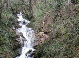 Denuncian vertidos ganaderos dentro del Parque Natural y Reserva de la Biosfera de Somiedo