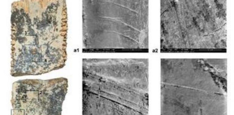 Los primeros europeos que habitaron Atapuerca comían tortugas