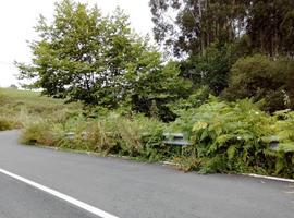Los matos se 'comen' algunas carreteras del concejo gijonés