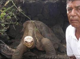 #Galápagos.#'Solitario George' fue disecado y será exhibido en Nueva York