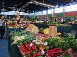 Mercedes Fernández ofrece apoyo a ganaderos y agricultores asturianos en '#Agropec 2014'