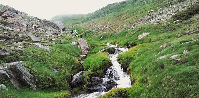La temperatura de los ríos de Sierra Nevada subió 2 grados en los últimos 20 años