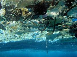 Los desechos plásticos en la mar matan más de 1'5 millones de animales al año