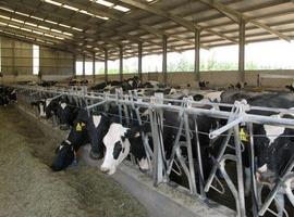 Las comunidades de producción lechera se unen para inspeccionar los contratos con los productores