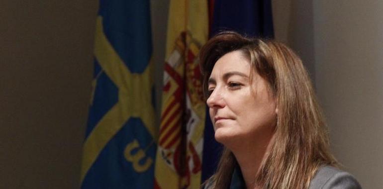 El gobierno del Principado de Asturias 