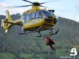 Muere un leñador en Rozadas tras caerle encima un eucalipto 