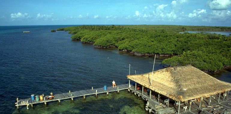 UNESCO estudia incorporar Reserva Banco Chinchorro como patrimonio mundial mixto 