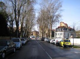 La Coordinadora Ecologista denuncia el 'arboricidio' de los chopos en Gijón