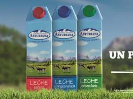 Central Lechera asturiana baja a 0,79 euros el 'cartón' de leche