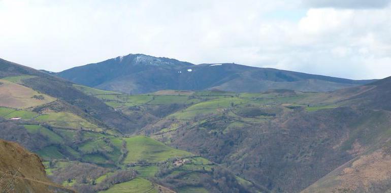 Ecologistas denuncian la autorización de Lidia y el 