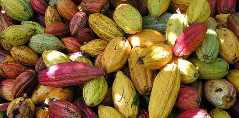 Cacao contra la diabetes