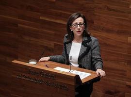 Asturias advierte que el anunciado estudio del AVE no incluye Lena-Oviedo