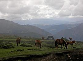 Ecologistas denuncian la 'prisa' del gobierno asturiano por autorizar proyectos mineros