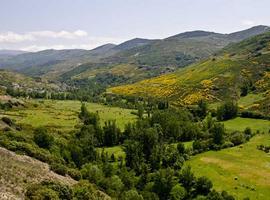 Debate 'de cine' sobre el patrimonio natural y etnográfico de la zona leonesa de La Cabrera