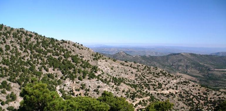 Restauran hábitat degradado de la Sierra de Revolcadores