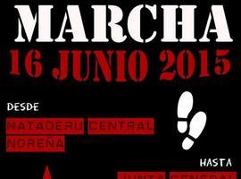 Marcha de 'Trabajadores en Lucha' desde el Matadero Central de Asturias a Oviedo 