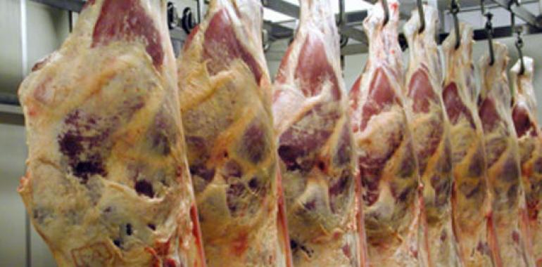 Uruguay accedió a cupo de la Unión Europea de 20.000 toneladas para carne de alto valor 