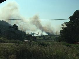 Bomberos luchan contra un gran incendio que se expande cerca de Alcoa