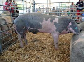 El mejor ganado visita La Pola en Agrosiero