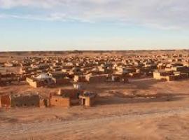 Recepción en Llanes a niños saharauis e izado de la bandera del Sahara libre