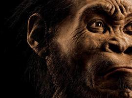 El 'Homo naledi', una nueva especie de homínido descubierto en yacimiento de Sudáfrica