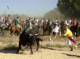 Veterinarios espliquen al alcalde de Tordesillas que'l 'Toro de la Vega' sí sufre