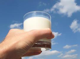 Los ganaderos amenazan con 'acciones selectivas' contra los que no suban los precios de la leche
