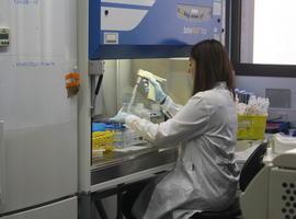 El 'Banco' genético humano ofrece valiosos mapas para investigar la enfermedad