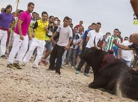 Declaren nula l'autorización del 'Toro de La Vega' del 2014
