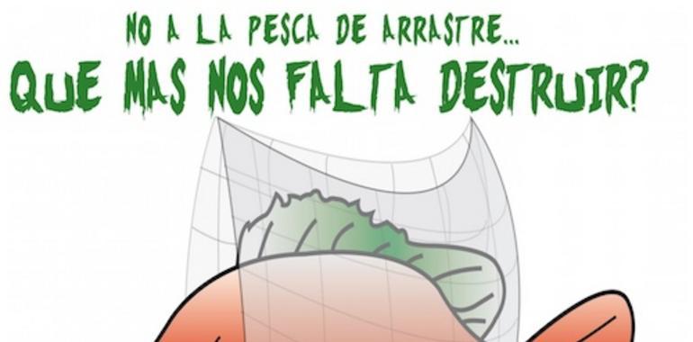 24 horas para frenar la devastación de nuestros océanos